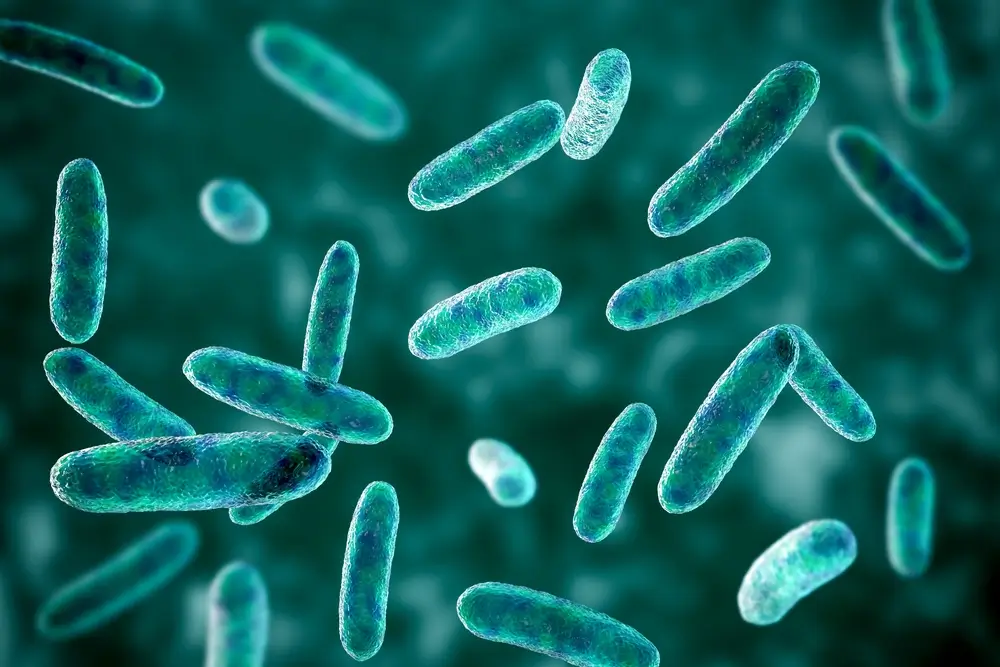 Scientific image of bacteria Citrobacter, Gram-negative bacteria from Enterobacteriaceae family, 3D illustration.