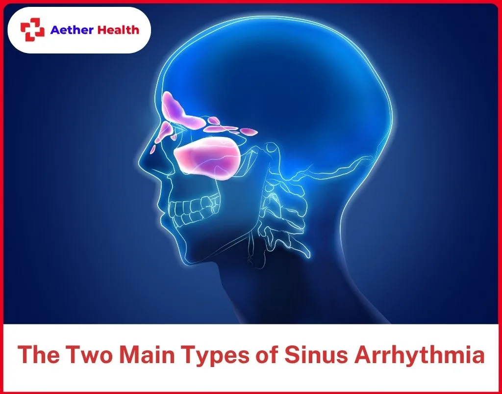 The Two Main Types of Sinus Arrhythmia
