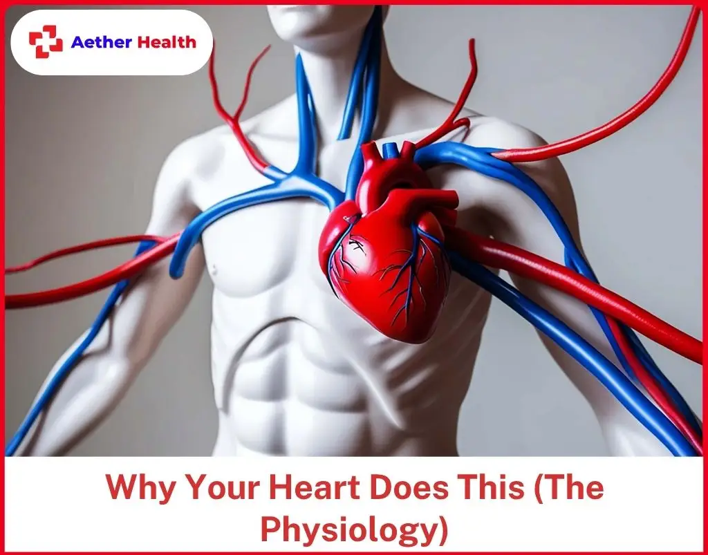 Why Your Heart Does This (The Physiology)